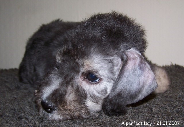 40-ARC-EN-CIEL A NICE DAY - GINZA 21012007 (3)A.jpg